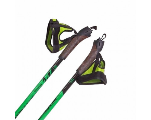 Палки для ходьбы STC EXTREME GREEN 100 100% стекловолокно