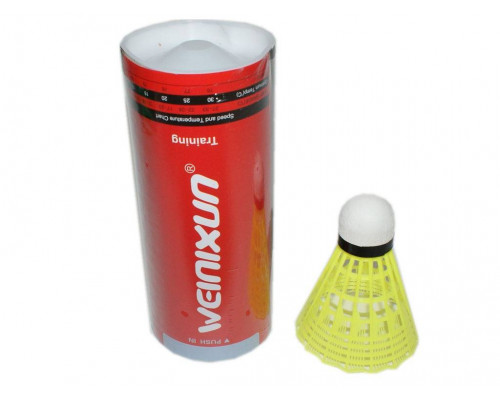 Набор для бадминтона WEINIXUN VX-608 (жёлтый)